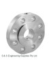 Flushing Flange